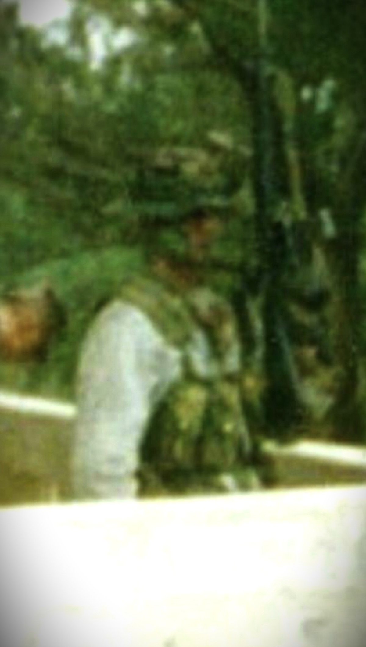 Person in camouflage clothing sitting in overgrown vegetation with dense green foliage in the background